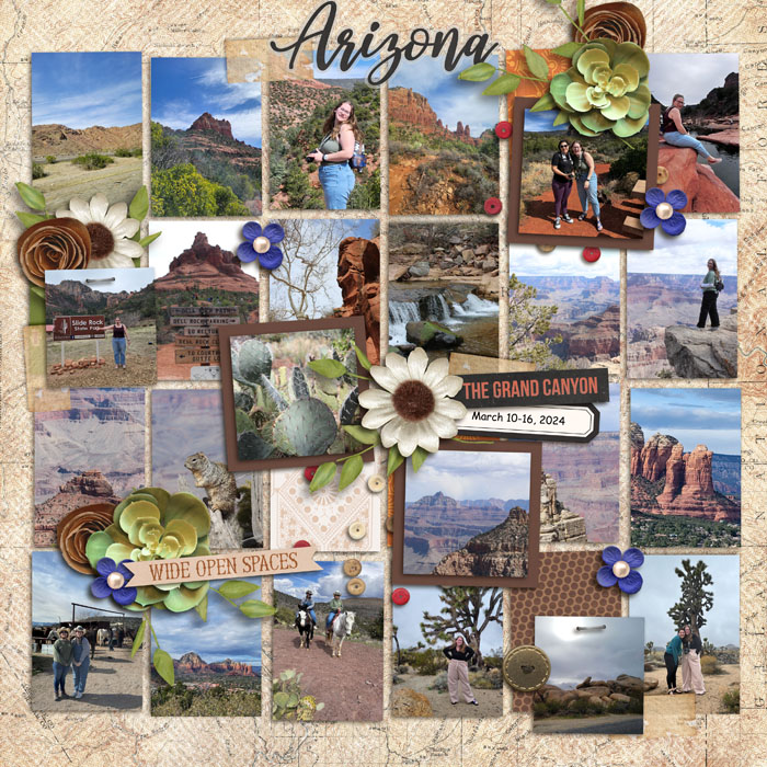 Arizona_in_Review_Kailey_March_2024_smaller