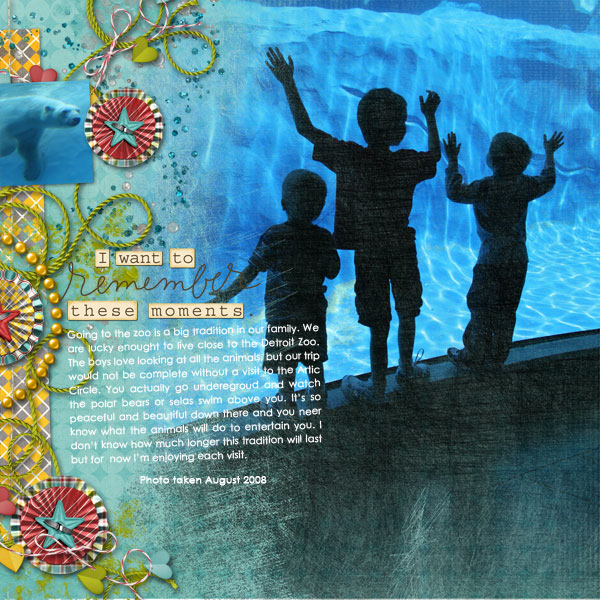 Artic-Circle-at-Zoo