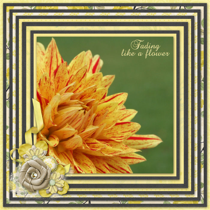 Aug10FadingLikeAFlowerklein