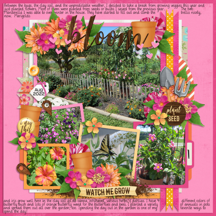 August_11-_Garden