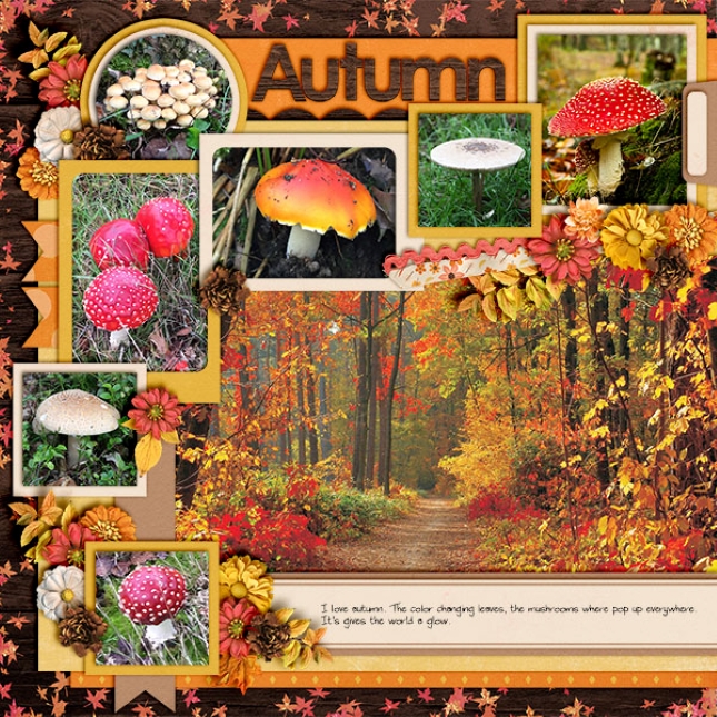 Autumn37