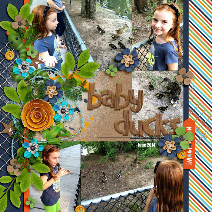 BabyDucks_Jun14_Kayla