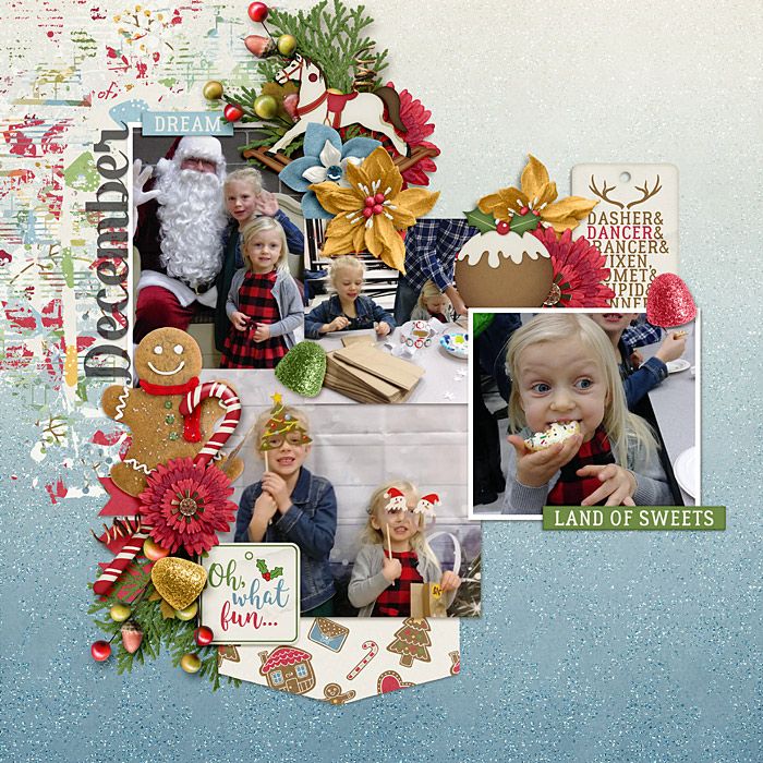 Barbara_TheNutCracker_LJS_dt-hello2018december-temp2_700