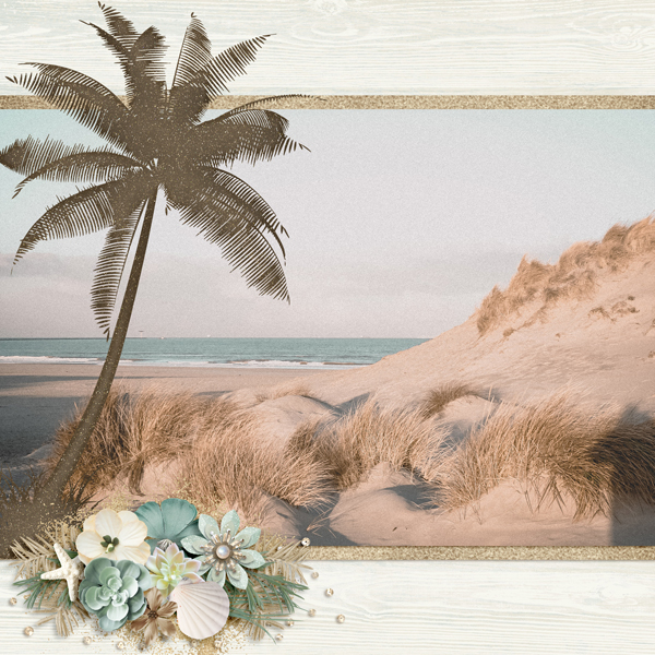Beach-Day4