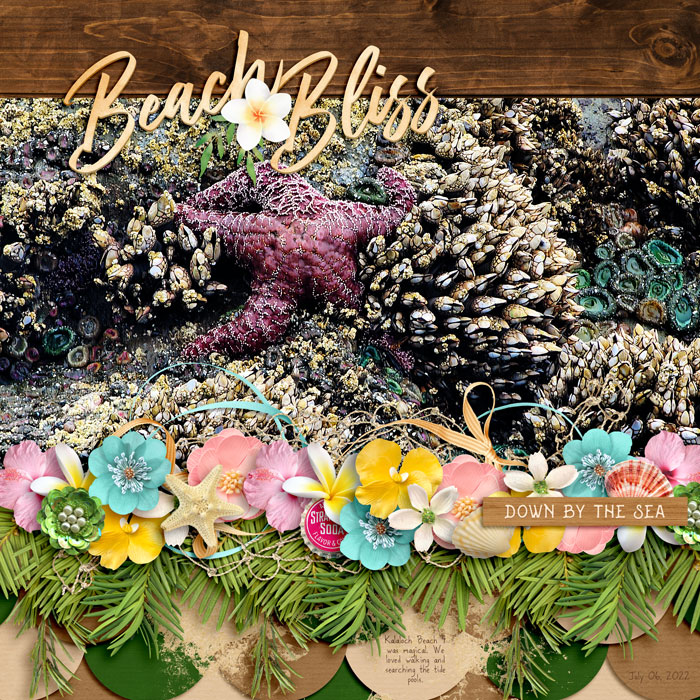 BeachBliss0722web