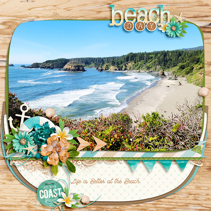 BeachDay6-22