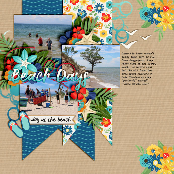 Beach_Days_June_2017_smaller