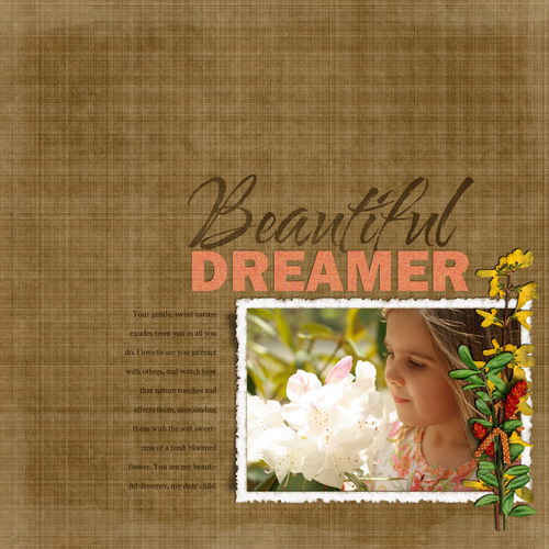 Beautiful_Dreamer_500
