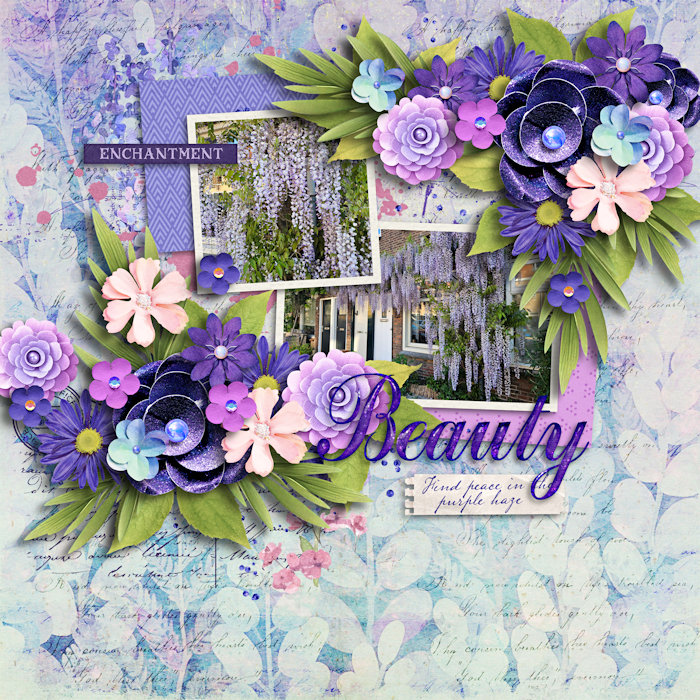 Beauty_7001