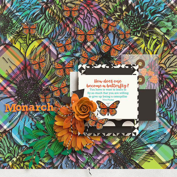 Become-a-Butterfly-cmgSpreadYorWings_Template1-700