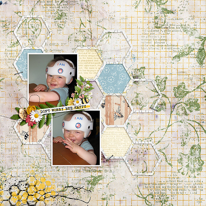BeeHappy_SSD