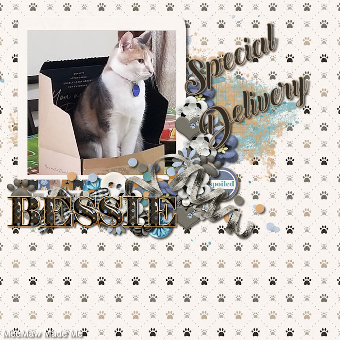 Bessie_-TheCatsWhiskers-JoCeeDesigns