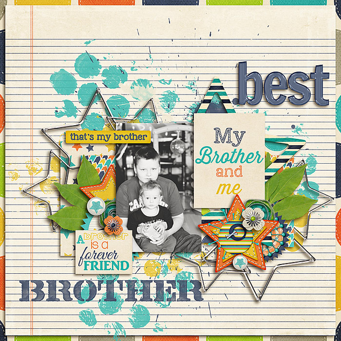 BestBrothersSSDSB700