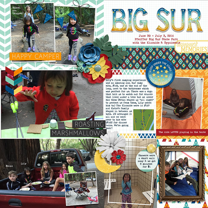 BigSur-L-SSD