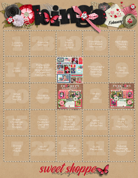 Bingo_February2017_SSD