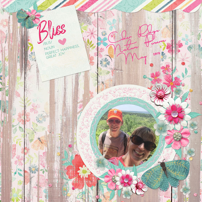 Bliss-May-2018