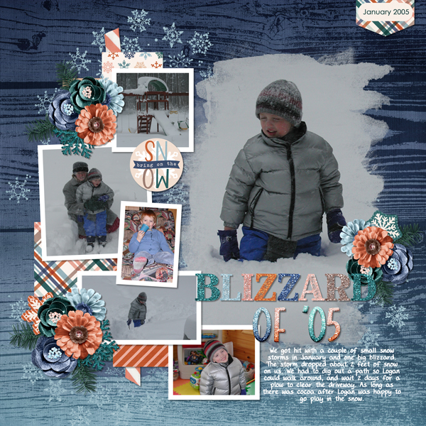 Blizzard-05-web