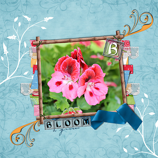 Bloom-_-Grow