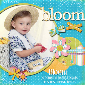 Bloom2