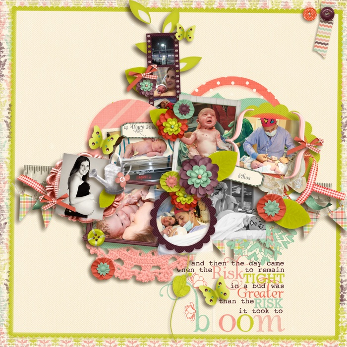 Bloom_copy2