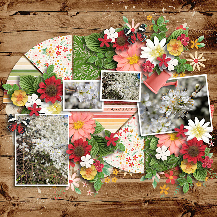 Blossom_700