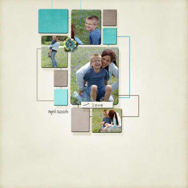 Bluebonnets_sm1