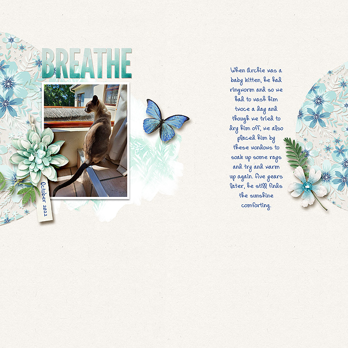 Breathe-Web1