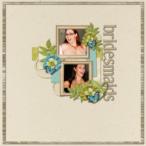 Bridesmaids1