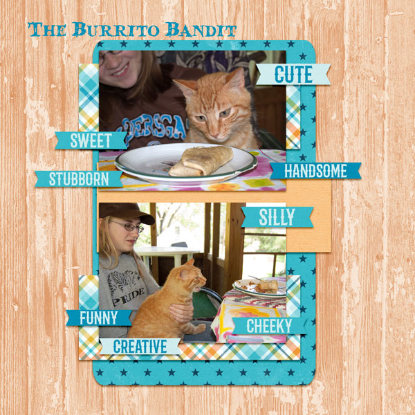 Burrito_stealer