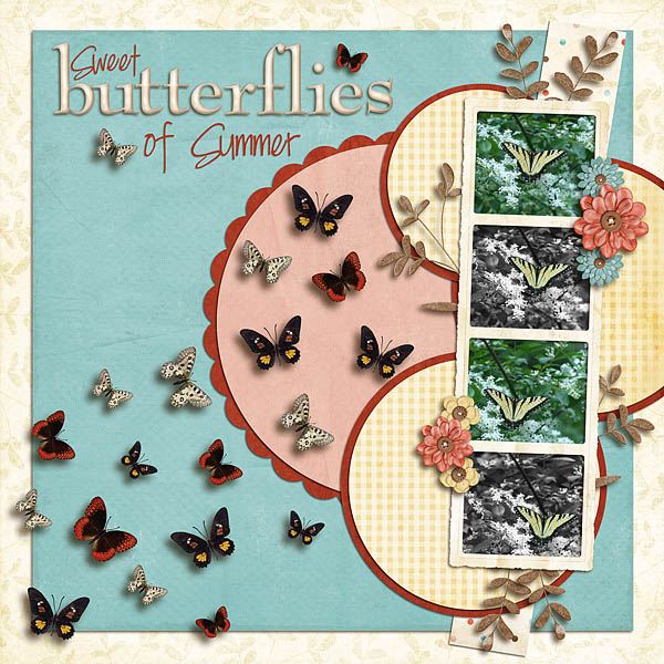 Butterflies3