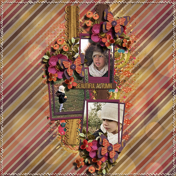 Butterflies_are_free_and_Autumn_beauity_SF_700
