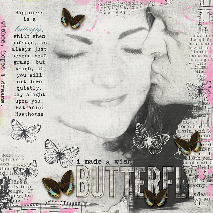 Butterfly4
