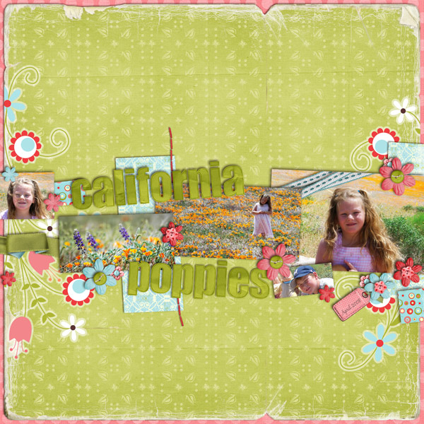CApoppies-web