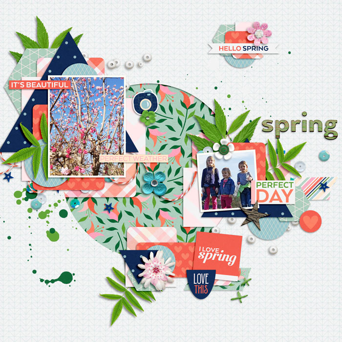 CD_PeacockDreams_SpringIsInTheAirTTT