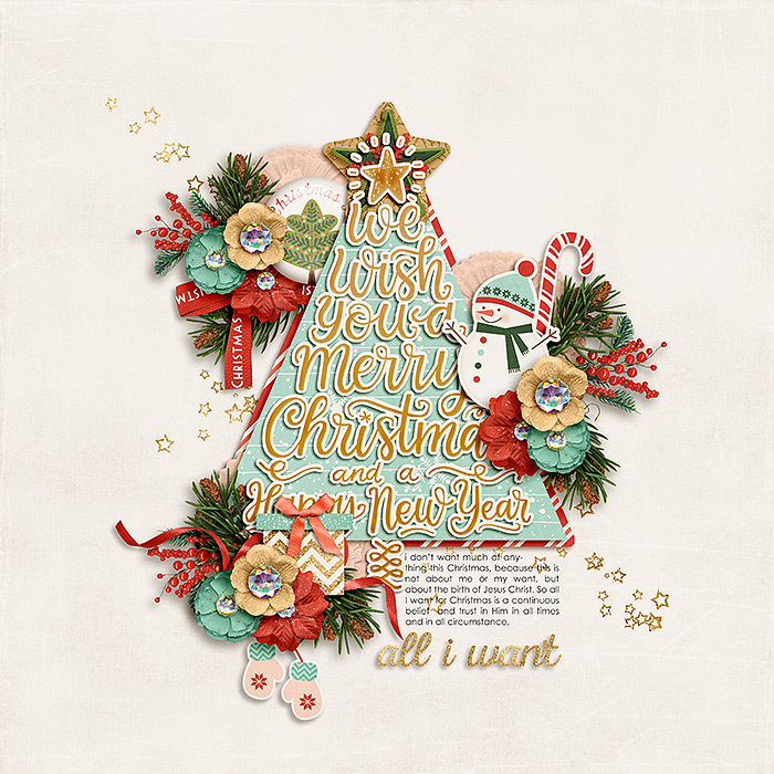 CG-SSDAdventDec17bl