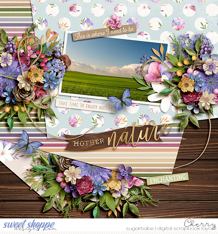CG-SSDJunePP2WM