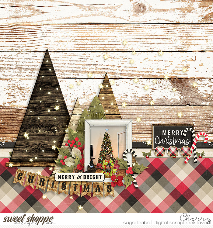 CG-SSD_2024WinterFreebieWM