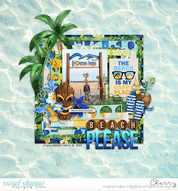 CG-SSD_BlueHawaiianWM