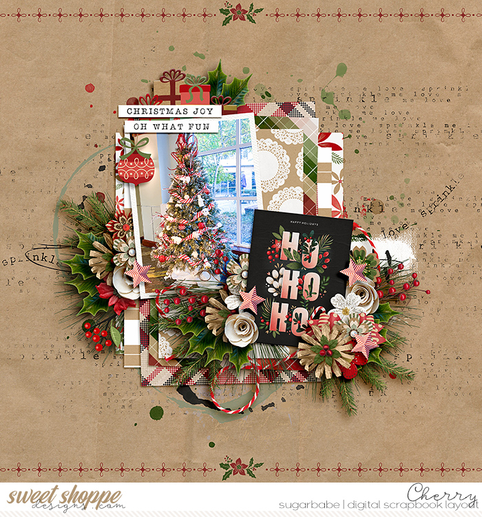 CG-SSD_BrownPaperPackageWM