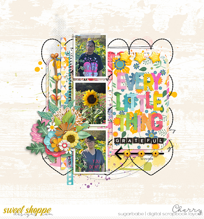 CG-SSD_EveryLittleThingWM