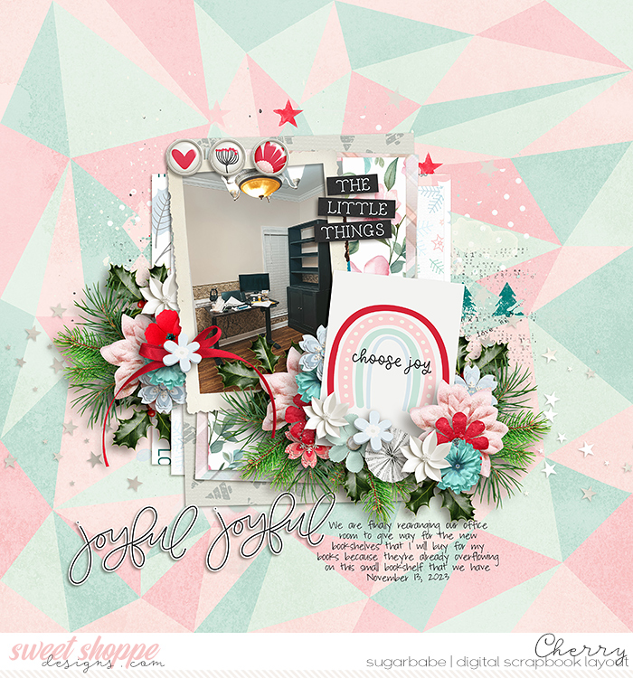 CG-SSD_EverydayIsJoyfulWM