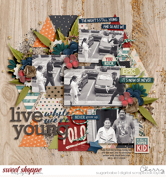 CG-SSD_LiveWhileWereYoungWM