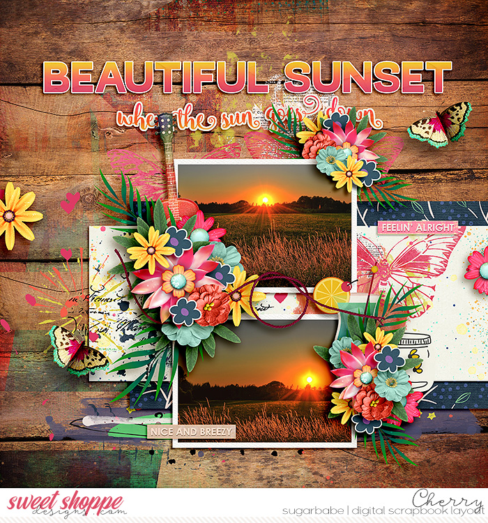 CG-SSD_WhenTheSunGoesDownWM