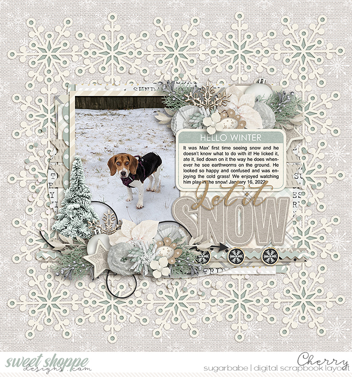 CG-SSD_WhiteChristmasWM