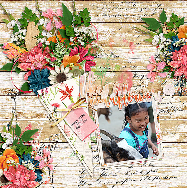 CG-TCOT_bloombl