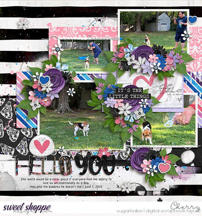 CG-alchemywildstudio_LavenderHazeWM