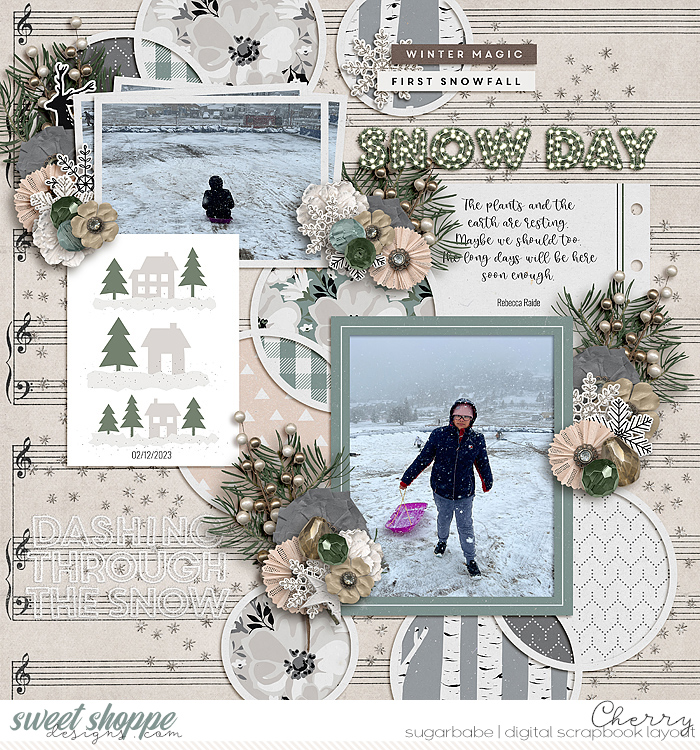 CG-apennington_WintertideWM