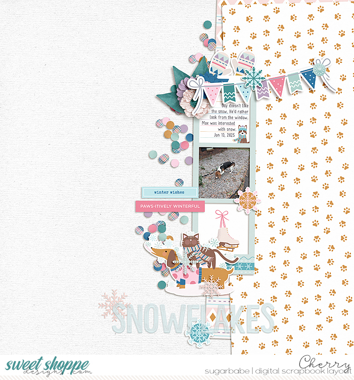 CG-bbonneville_SnowMuchFunWM