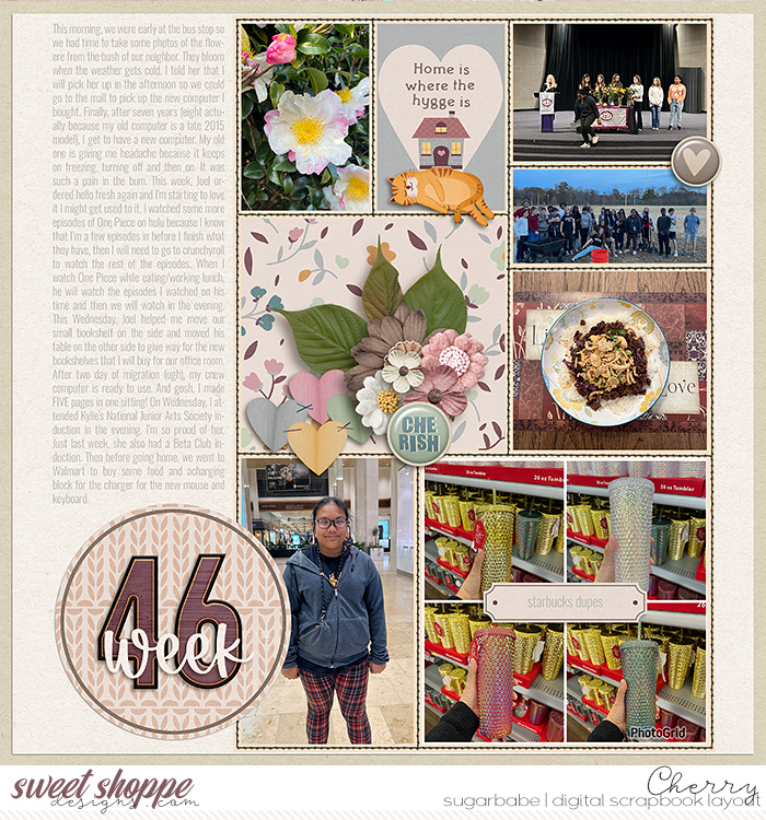 CG-bg_CozyLittleMomentsWM