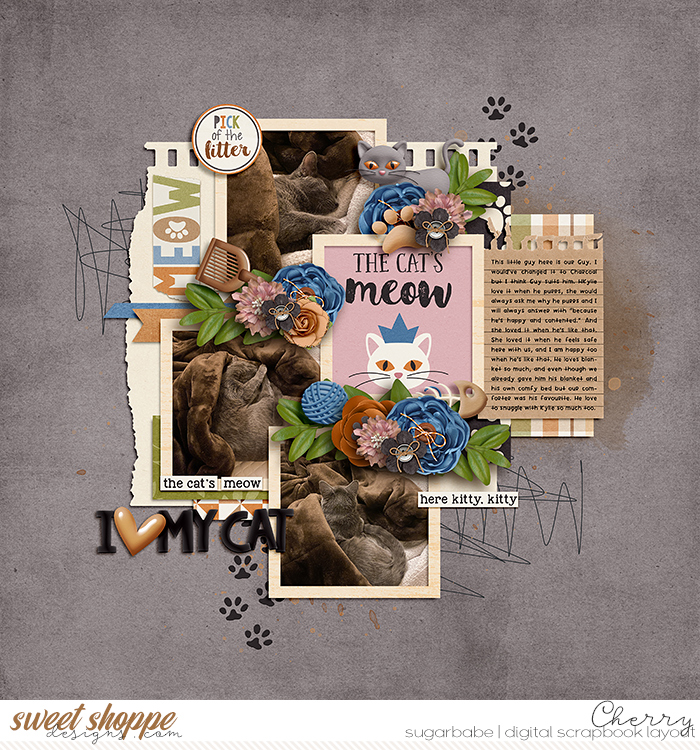 CG-bg_ScrapMaps4WM